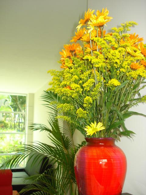 Hotel Casa Palermo 麦德林 外观 照片